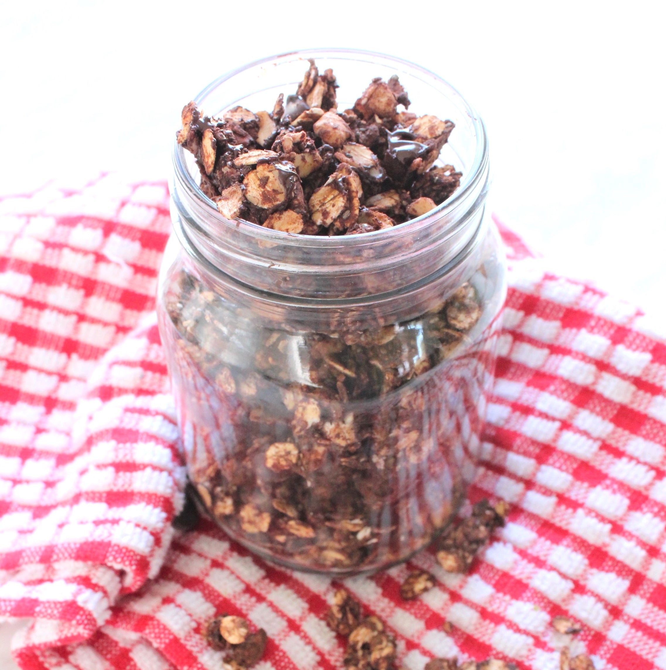 Chocolate Peanut Butter Granola (Oil-Free) – RAW Nutritional